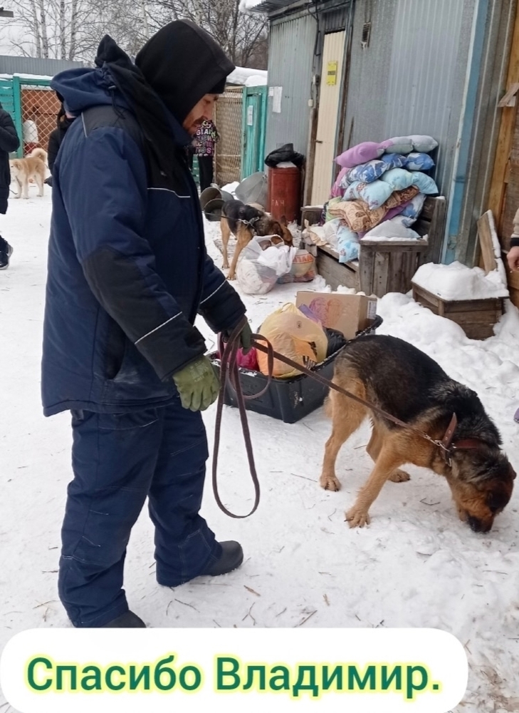 v_hhFSNb3pjW1y6vQ8U5uh0TwR89qnuWqNcsL6MS