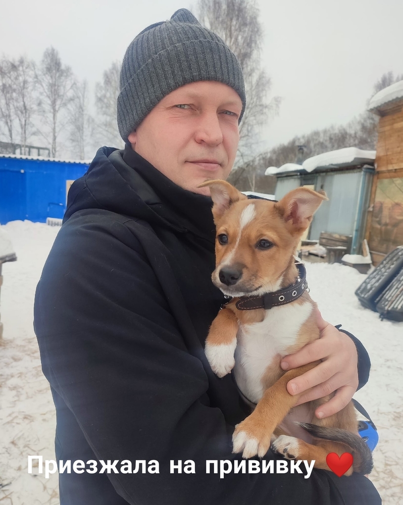 Bi17PAt-ezF2uvMHOc5Sdhu7iHlZxG0sO4vxFSfl