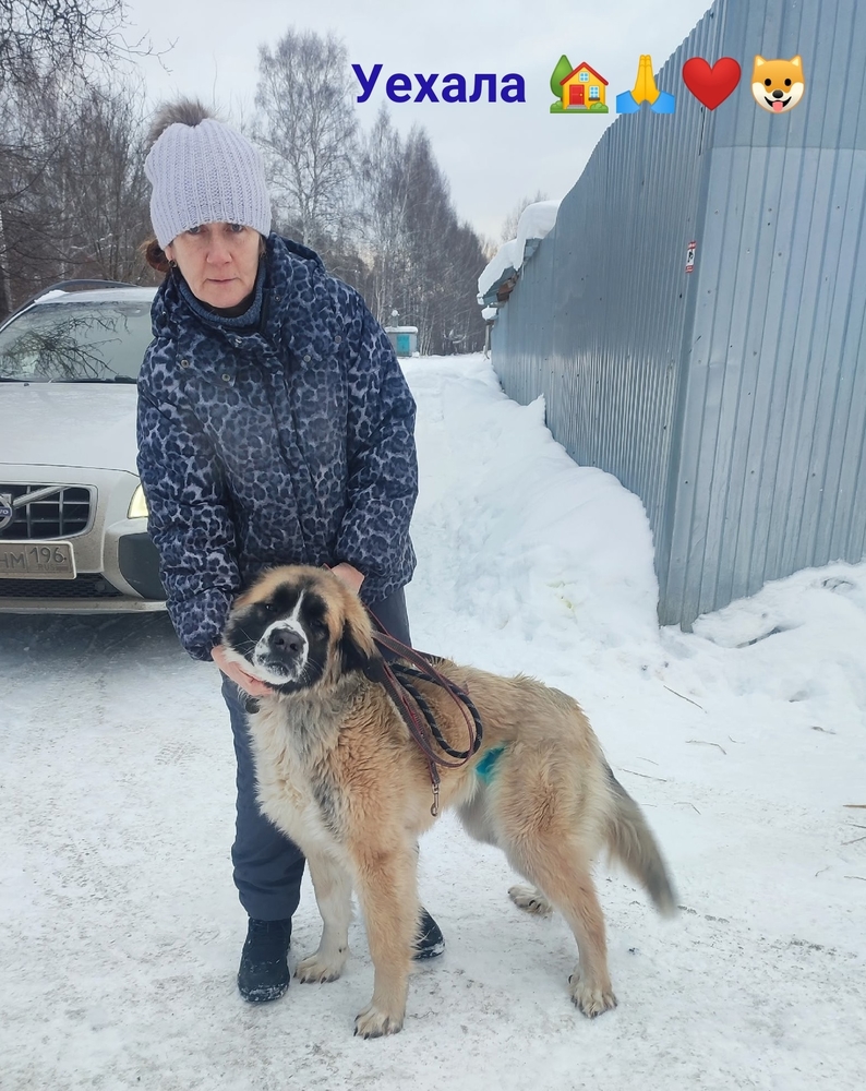 h4cwx4j_2GeMQRugAlG8cKTq2IJknD0NXW8f0qmB