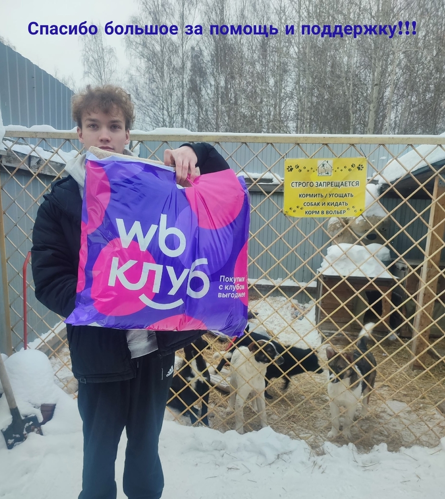 teAwswdfVRRY5le4cbxyU4uvS9arjtxhRq98HO7b