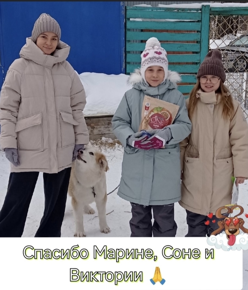 89qr5kt5zJjQ7IIQM6OM13rEHG51sNaTPRpVhbae