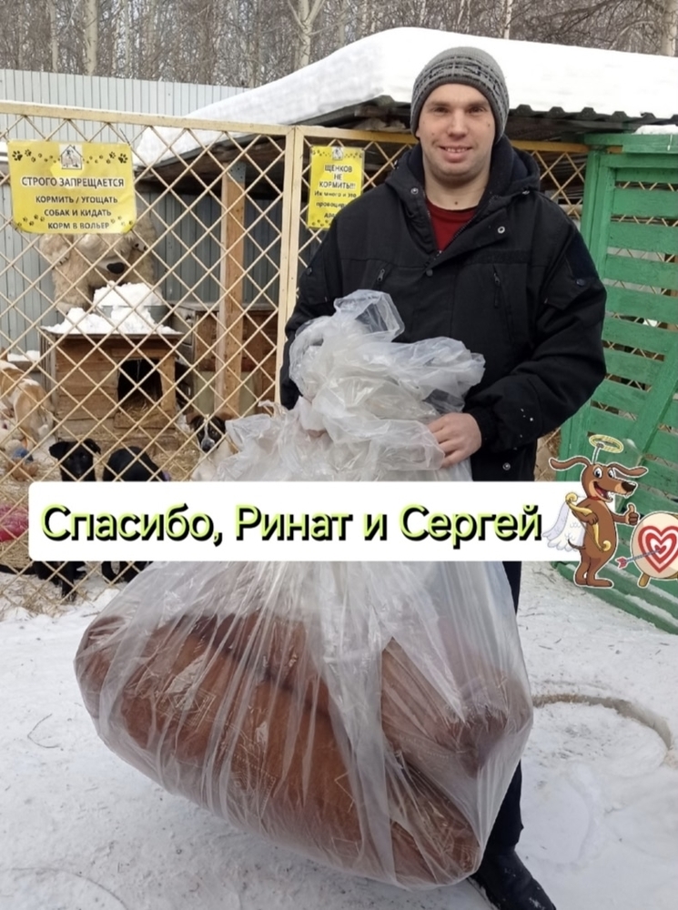 RZpNZfixBCYlmldi8jdtZAwYmqQ435YIqS8qiPYL