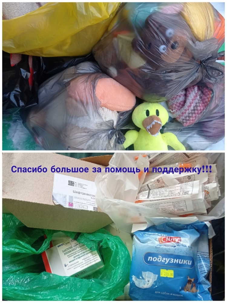 7VwCx4Hm3fx8eXHzGvMoIzeT1qWwfL8BSMyusvIV