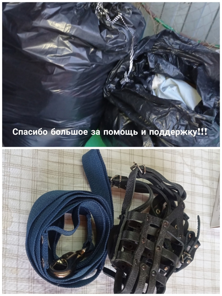 oGqWp557ScxUHNnsOgc3SQZ6CWeQDz-Mt1wfuoNk