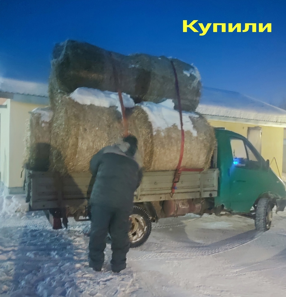 SQ3KOL0DSIM-yz2u3WRX7oRMVElMYzVgmZ9YqFR7