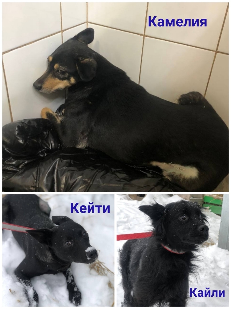 x36X909Bf7dnHHPGx8HPdfjC8g4kcyz1FN--8RQE