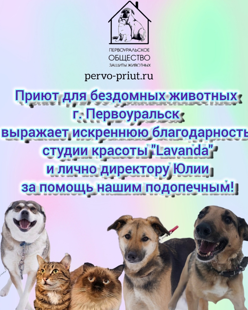 RiMaQHWfhcT1Z_s6yMahayKURrY1CH6qQTbOz378