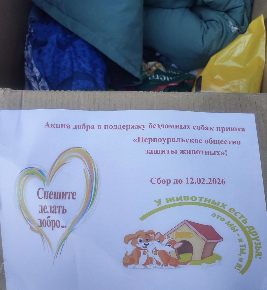 IblryLEJGypojEBzfh5rbJrz_46e1SiggjguDjvU