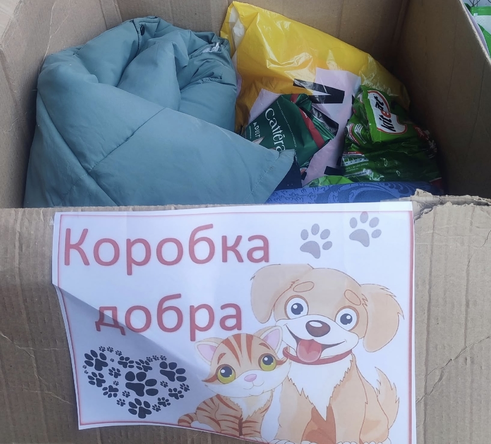 OdjPILqaCMAWnlob6lpBE9SETDlcN0zJM9DP0uSB