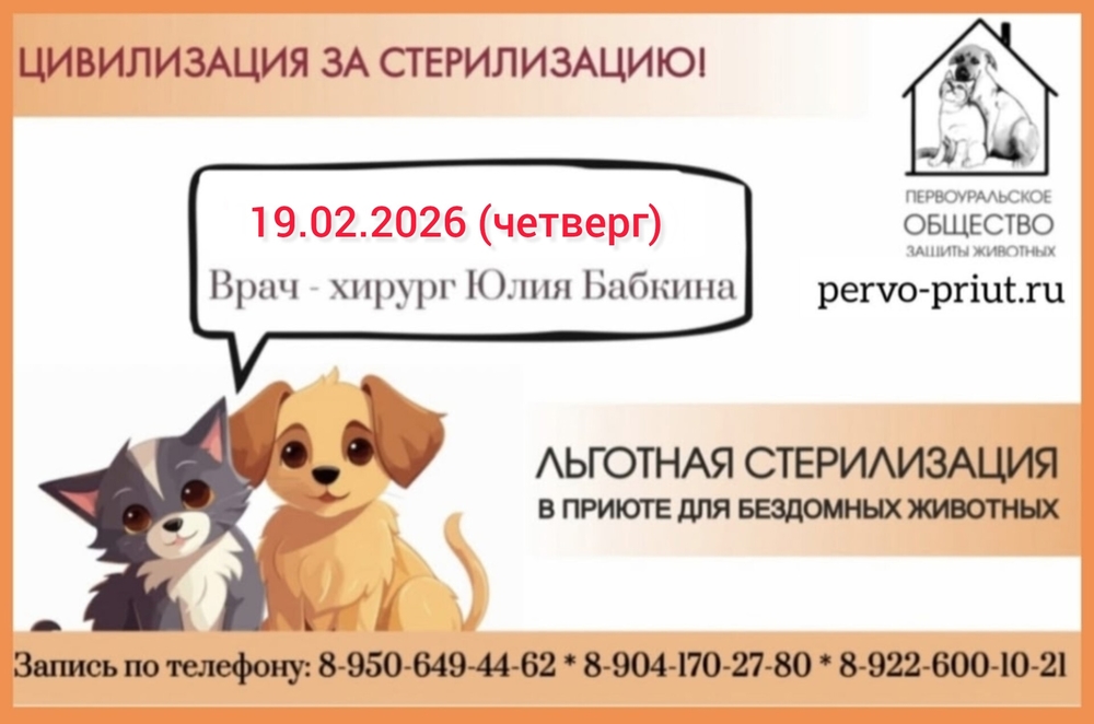 vk6s9mHaGJOIBb-9bamRmS0m6i1H51CiEZQ5LsCC