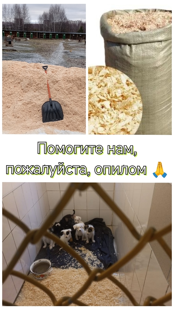 a11MzsKN3UwGdDt5NEOj1v8E9mqzbXJIz7tyB6Fb