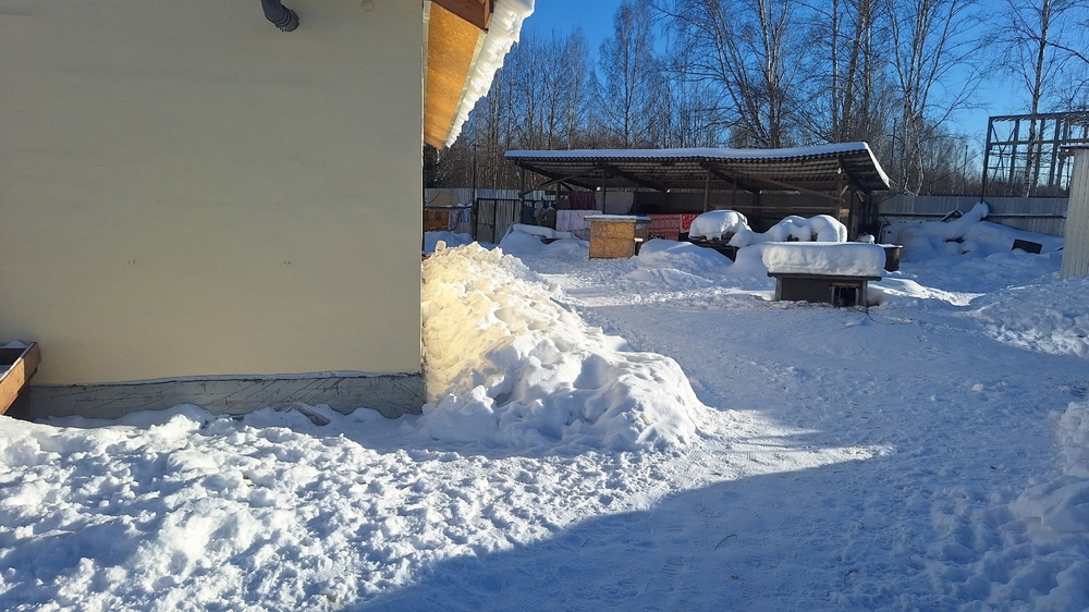 36vF4xI9JiGgd-6j1LQjE92CWlKMYu1NHb_e4p6C