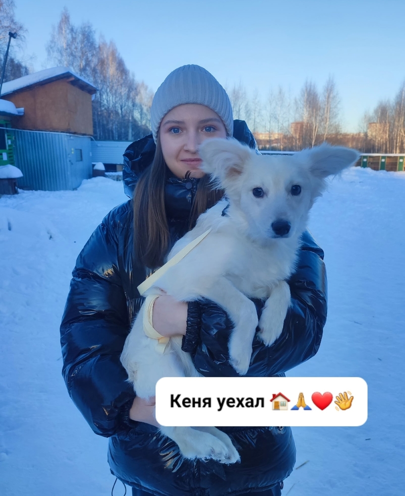 _YOFq6Tycy6SKjaENq7kGmElF1qscvlgnCYDXAkR