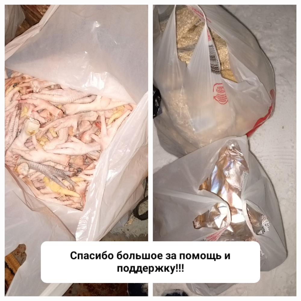 jeINHNKaKeMZMvwWvsJNm9LTiXF72JoyDUaCSBmO