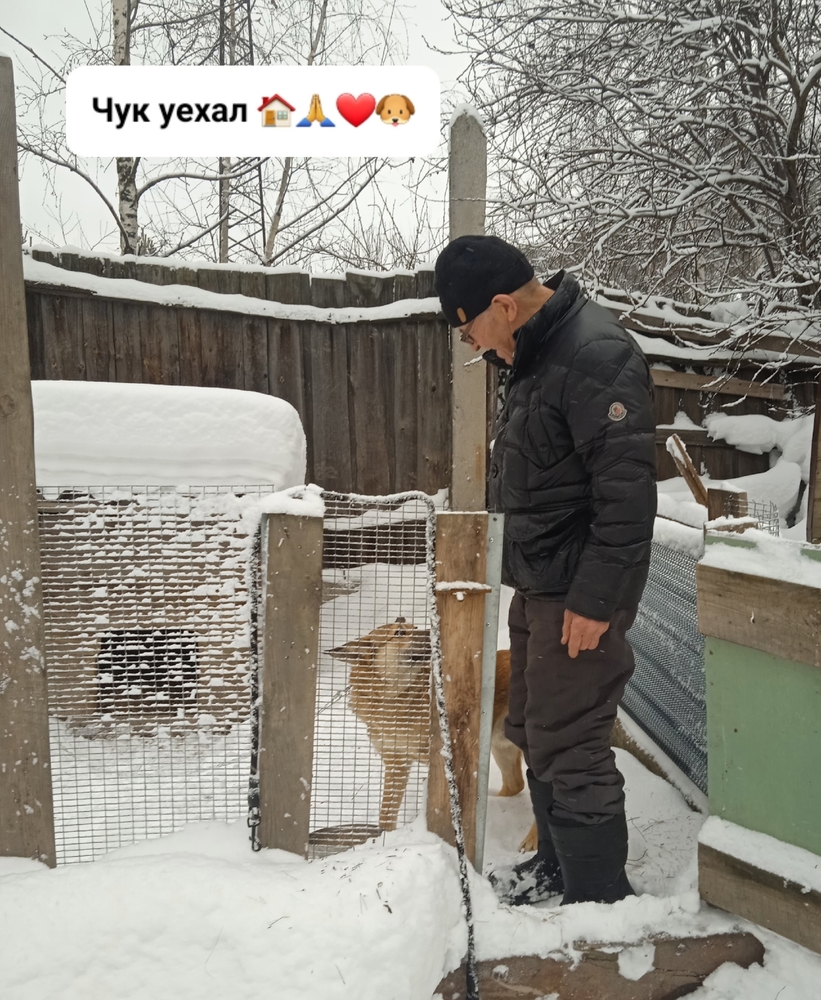 l7HzcNvq492O_V71tltuoccQoFxbCxwfJWQnLKJo