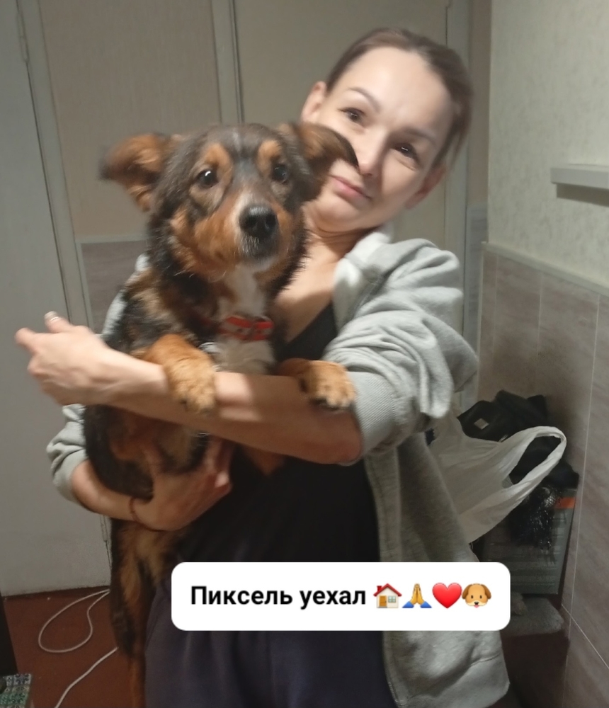 LNj3B1Lc-sQQ3hwfA-w_f-nXH_wUg5-B_HdyIPbI