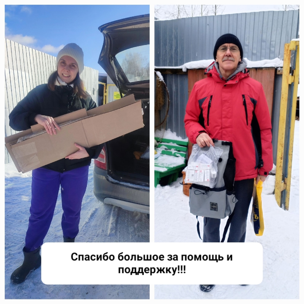 qgQ1BgHxqpjQh2eQE0uEgImQ3xKfedydo39V4ktX