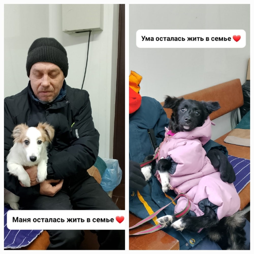 RxNBtyvWCja8JgsSyMUblbBd8zlv_RDgwzPo6I-S