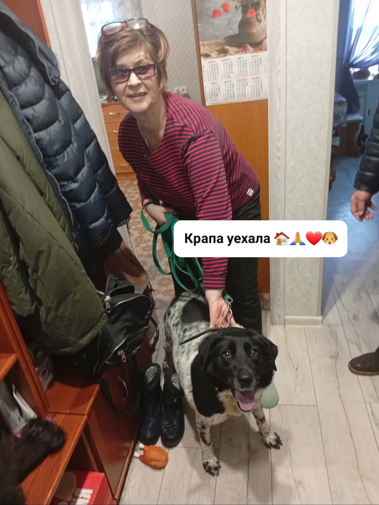 u9juR5jmPOro0OE17f21wiSSqAFlETFPwllnkeQP