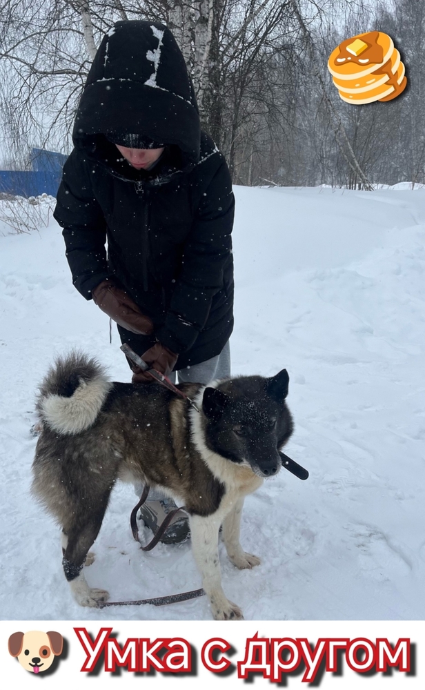 IDdvWjZ-Na4Z2yAsEb7Zj8b_2hej7UUKqAiWZ-vC