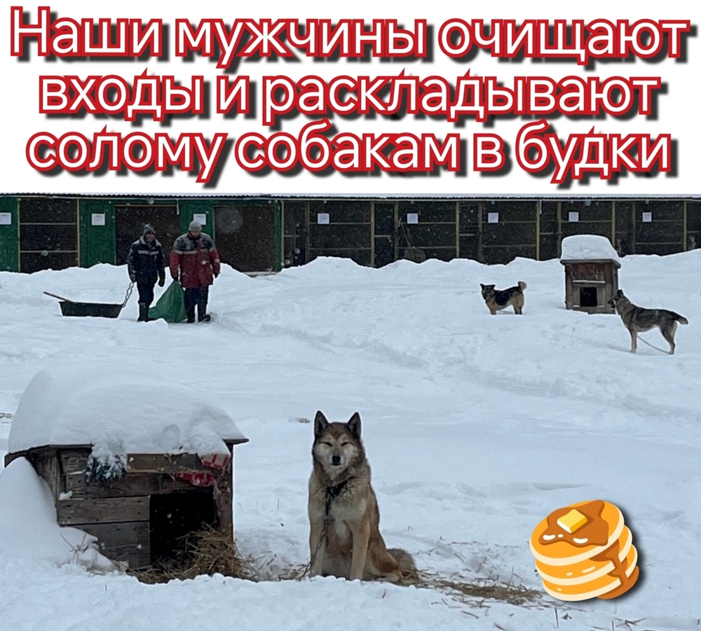 OgW0TJsCi0NQ7TOCc36DlWxXiN_YCvJ8cmd9iUHN