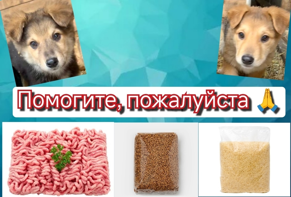 UmOWjmy6MivEnol38u05LxiCDE5RPmvKGiDNII3O