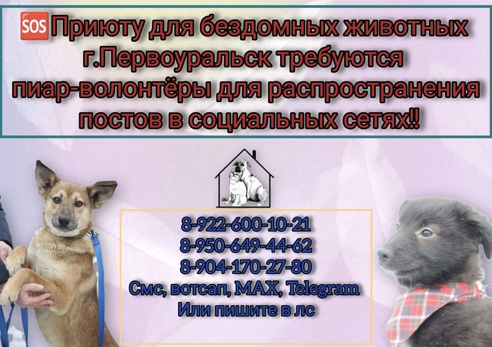 dSGXAmkpFbIMiTv1ig7lYUiDDLU7xsk8VeTK5lXM