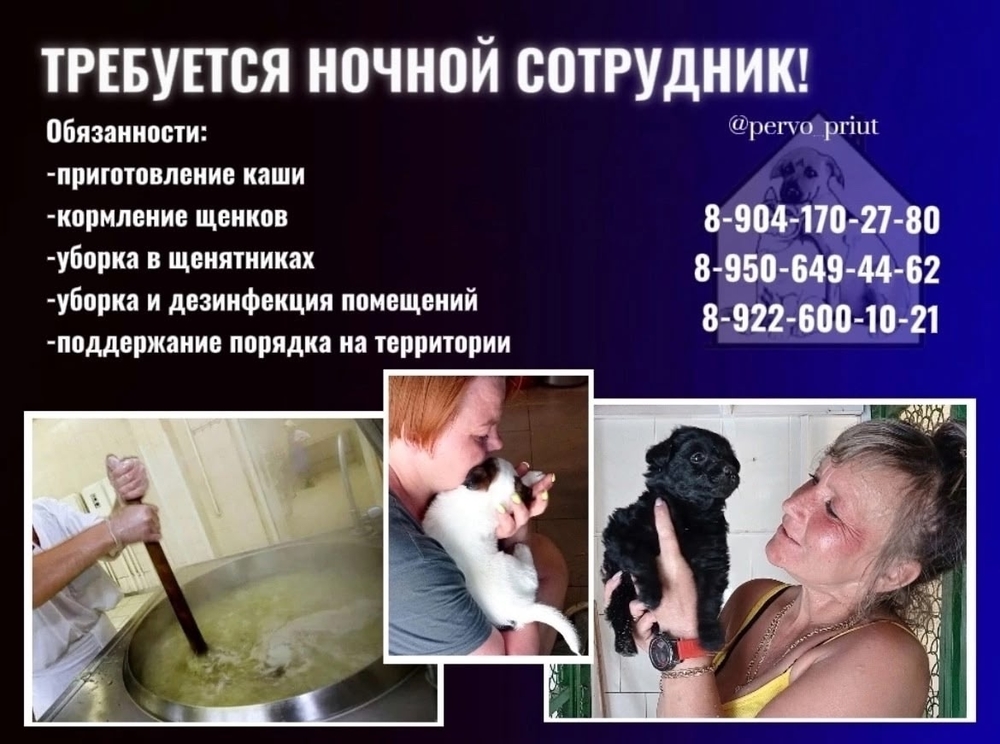 _NDc8RnQGY3nIkEwv4i3lUENhCOKEvRV7JPZ5bU-