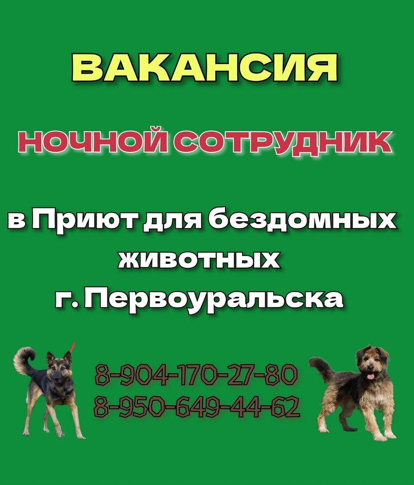 MXYuF6yF_dQ57HE3rBrDHtDUq4wVNci-UWeF5WOb