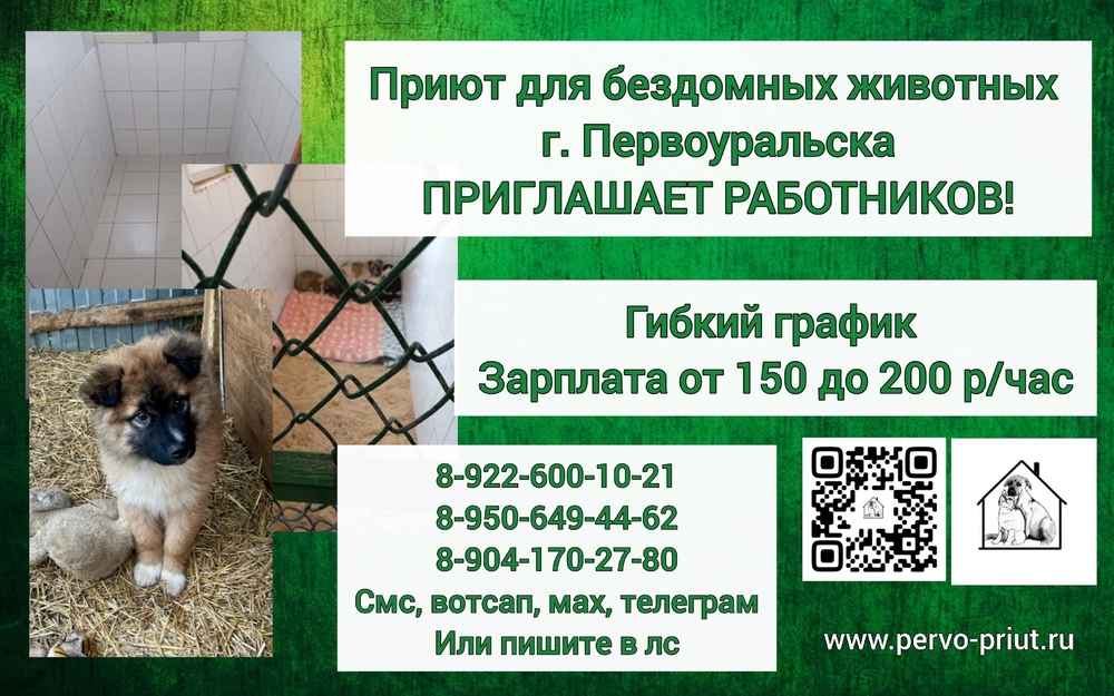 vaKppqrNqdkrIBEmfNhQMo3aFEZOVg55eWZTyq9q