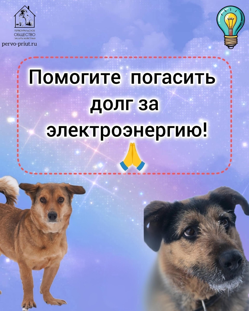 Zcmcm9nX0qwoo40eCCTo2PsarSUYVzSsQmbQ6rnU