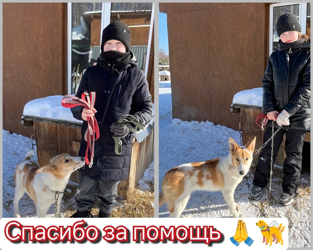 Y4oM8YvijBtA587xFuLqYE3C26OfkxwSw2TvK5W4