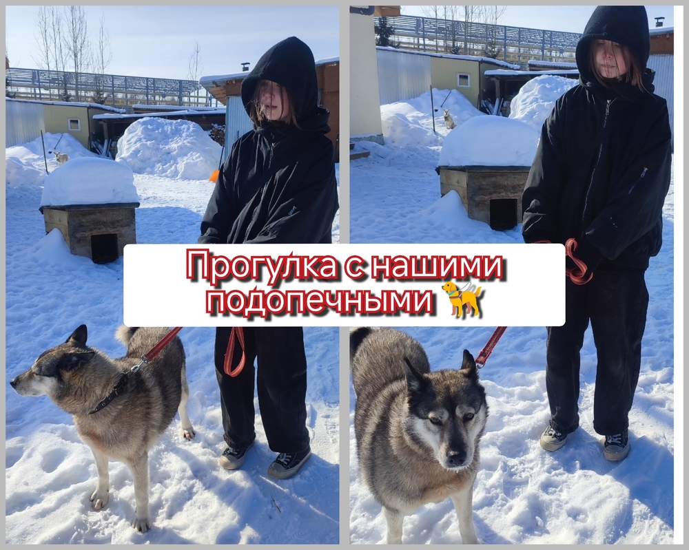 BU6amhsW7HJL26qdINuhiSv2aQKMUd_uLQw_2980