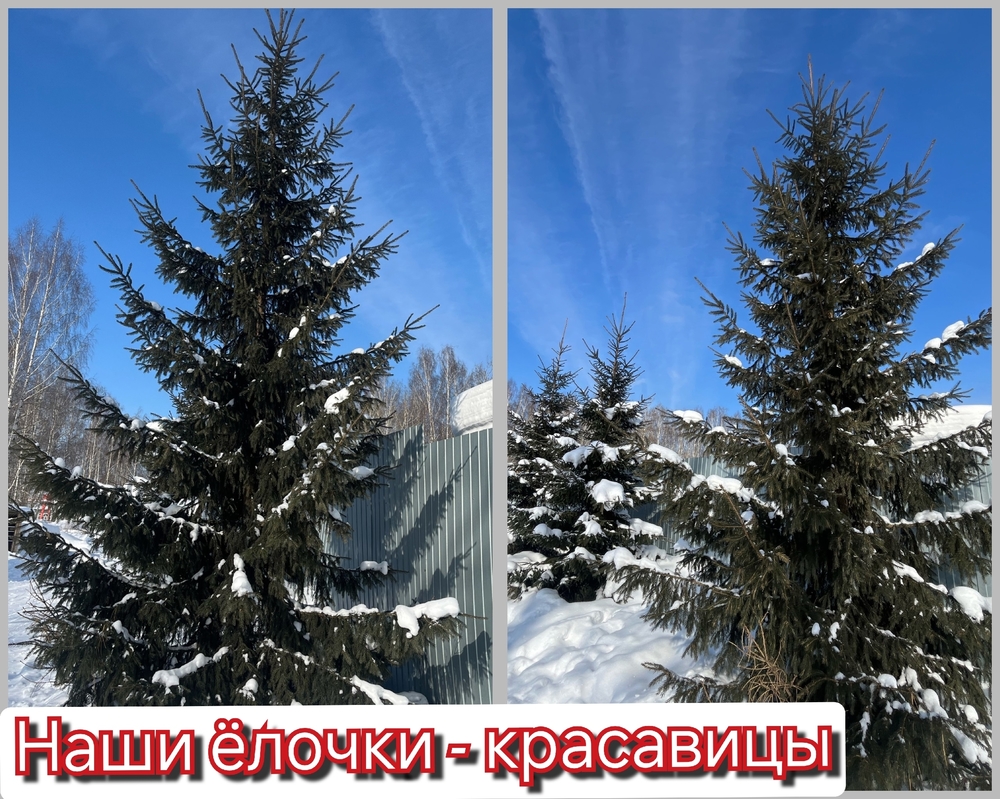 F9PwQS8A-UPAZb8gJPKMGJd5-_pJm0v5TEywHRTV