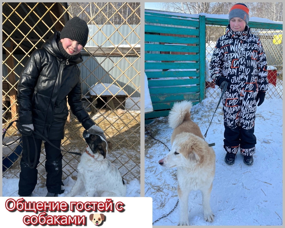 IIf6XXBFc0f0m1pBzjCySFgRXeEgkMSViHFX8mvo