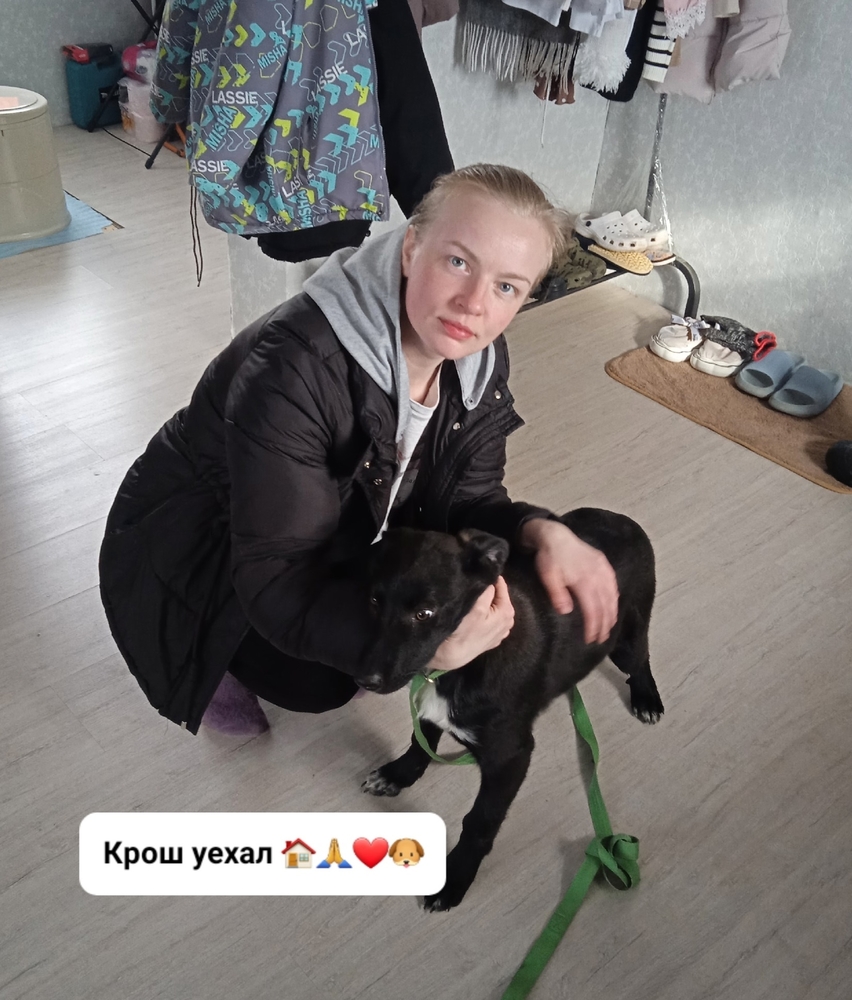 3VAQ_xoruLiqZ7NR2qoW6RWS-bzJu-BTw3TVpxw3