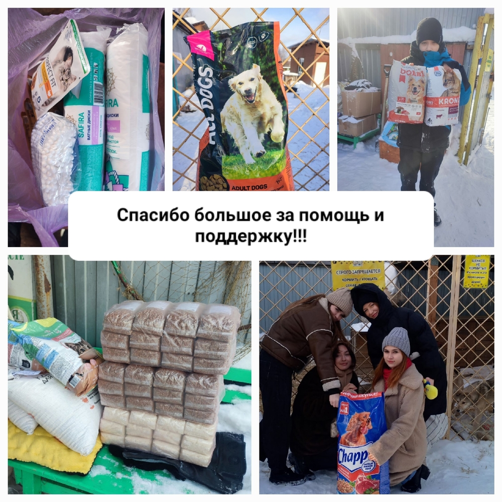 HqrFgtsOvn4QmuiW4h04hKeXNdWzs6rb4UFIWCTR