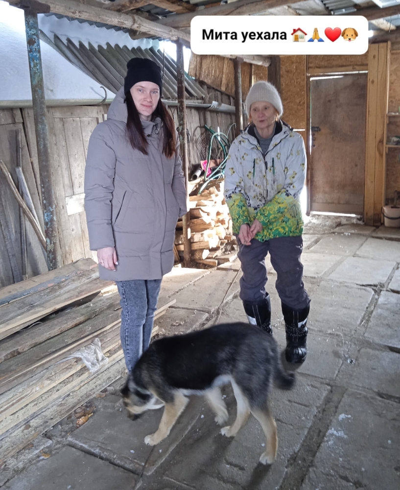 LNw4dgxVNujQ01M-xwXiX0n-v9zXN8tYIZf6qYHC