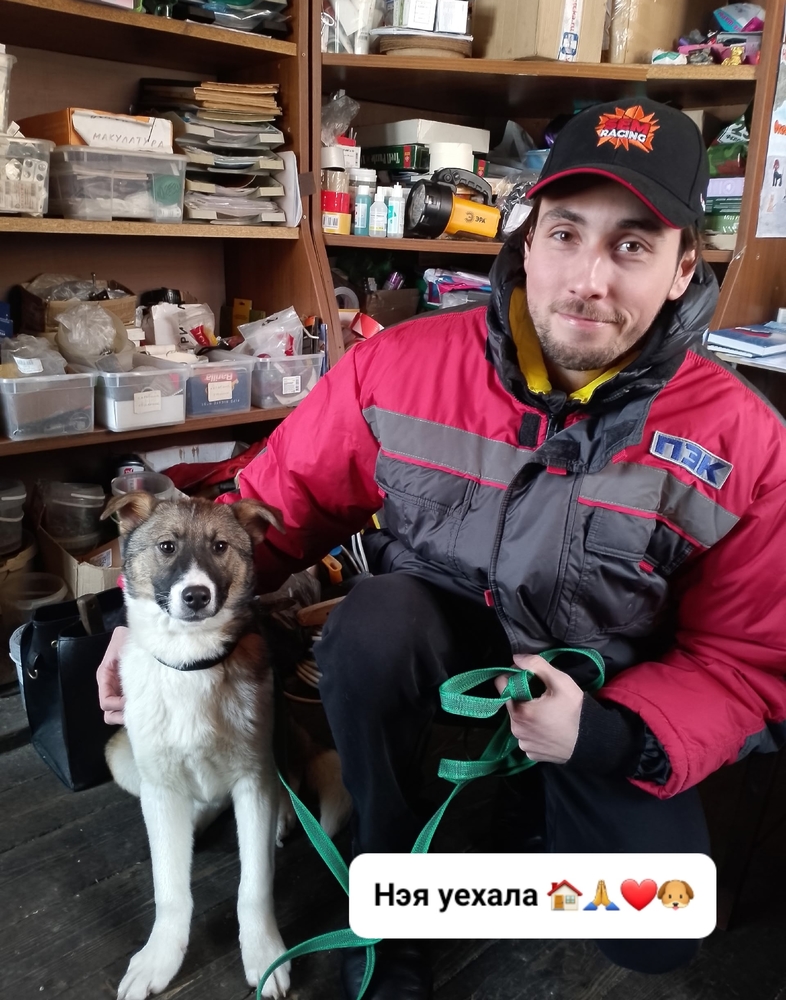 nPpK6h0S71fhWhhlOm3hw8fXTadVQUoatNDV8jtV