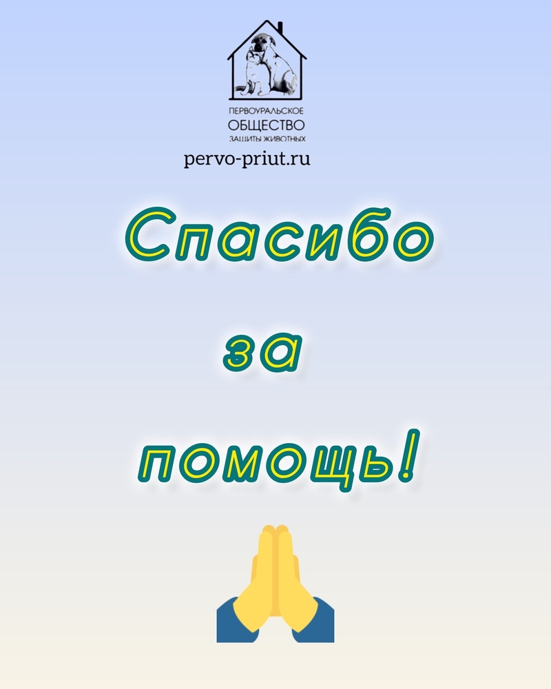 cx-jrWddGPAjy4328Y8RD9O8NNEZTqdoc4Y6DT1c