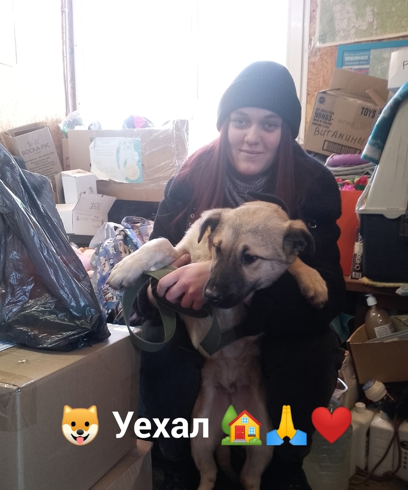 8-2SGMc3z-tGZt1dGqW6xgoIZi7N4peJpXv-JD1l