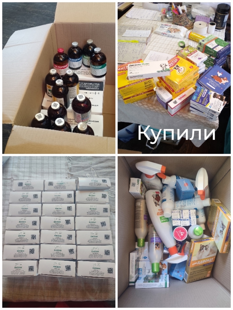 dVFU-Ro8bYeLPttkyYaQc8fi4RbObDC5ZZEg9msD