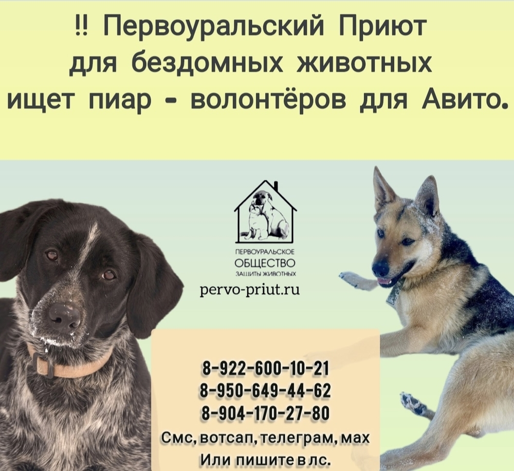 K0-rXAJxF5PmGqVnkvVchRvBDTXwe_n8Hb6en9gX