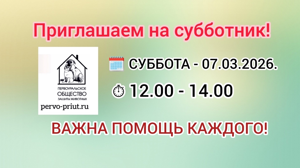 Uu3O1mIgs2Onqd_9KOyvJWq2CTe1hxLnd8fELRdY