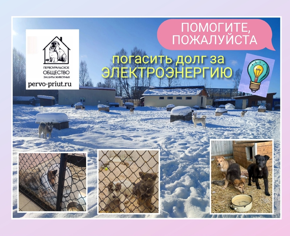 Ds28PtjCeC43uNuSG3CTkztXov6HXBTbqynPPPkI