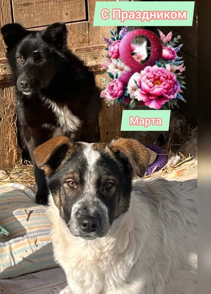 1NARfd-5fygszYSTM5lls_5G2hxnyMLDA2ic2CZd