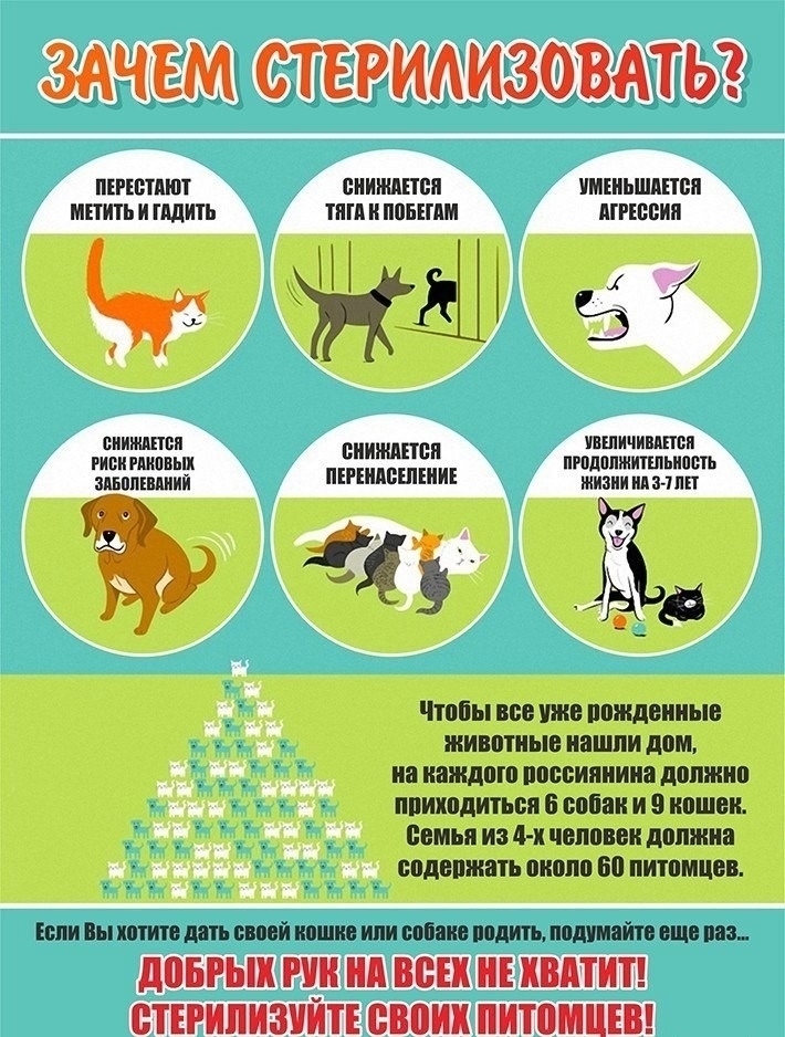 Ez4QsZZViqN9qwrUb2HMZXUvd95x2HeMob0RA8R1