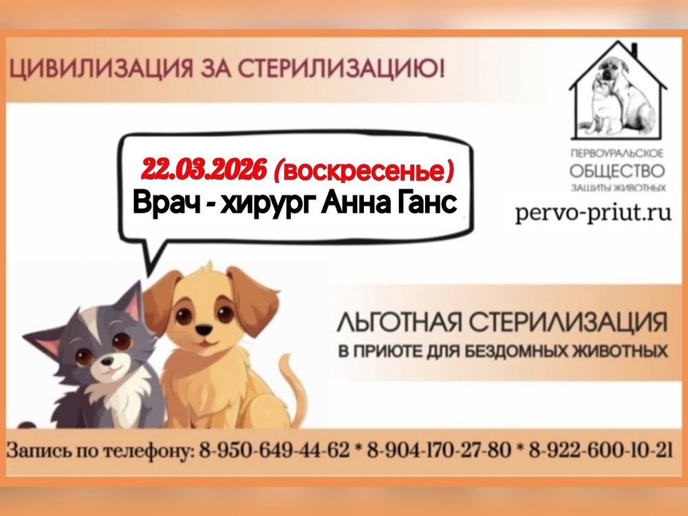 MsB6xKucEqikaXnP5eQRAaE6k4wLWWoWZOcbAjj2