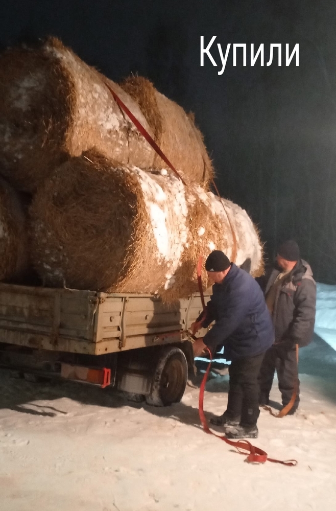 wPp8v41FY99r52J5zeDZtVjcUu1tkQlGMuutwNKi