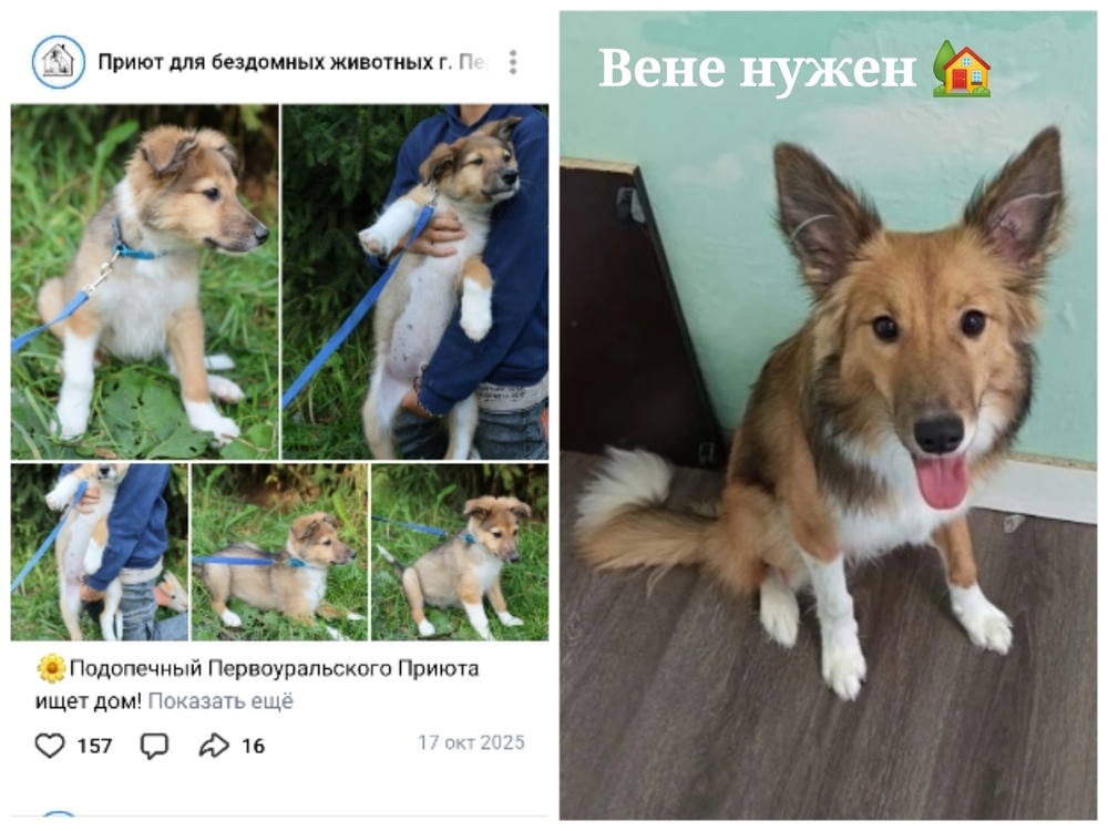 IbiybAclUAt2r0xWXmE-GMzh-Md9uX4dLw0X38lH